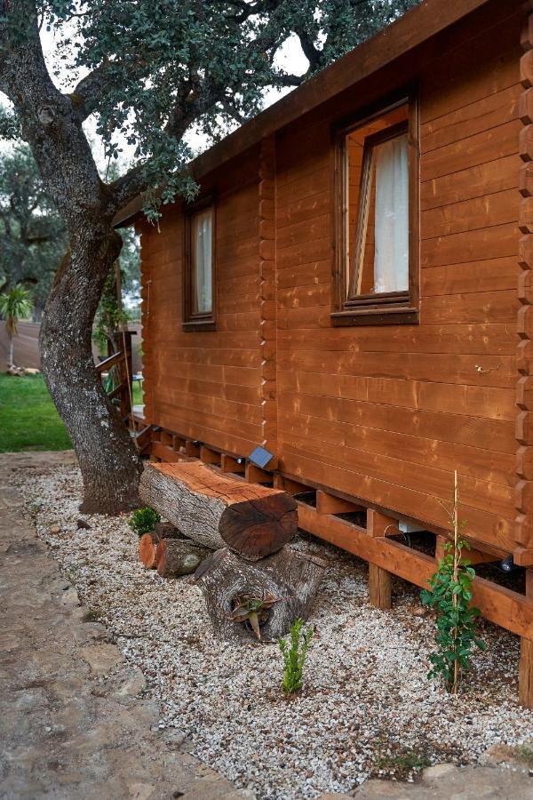 Cabana Rural El Arbol Near Setenil - Ronda Con Piscina Eksteriør bilde